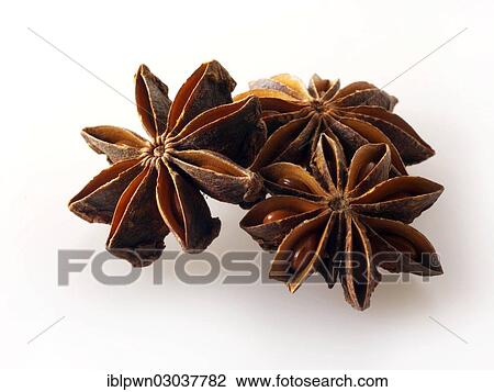 Whole Star anise fruits View Large Photo Image Stock Image - Whole Star anise fruits. Fotosearch