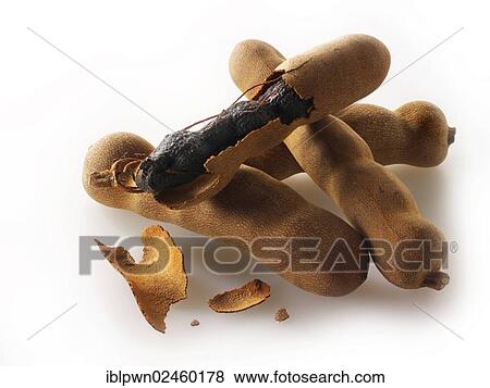Whole tamarind Indian spices View Large Photo Image Stock Photo - Whole tamarind Indian spices. Fotosearch