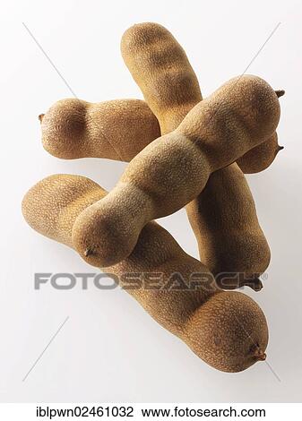 "Whole tamarinds, Indian spice" View Large Photo Image Stock Image - "Whole tamarinds, Indian spice". Fotosearch