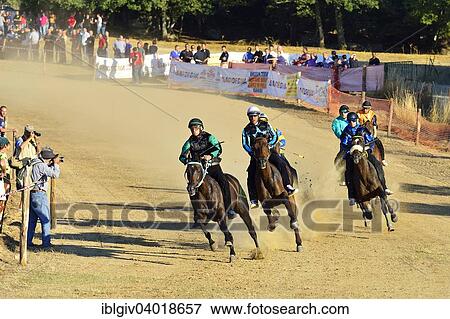 "Wild horse race without saddle at the Su Palu de Sa Itria Gavoi festival, Province of Nuoro, Italy, Europee, Europe" View Large Photo Image Stock Photo - "Wild horse race without saddle at the Su Palu de Sa Itria Gavoi festival, Province of Nuoro, Italy, Europee, Europe". Fotosearch