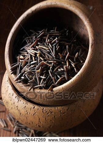 Wild Rice grains View Large Photo Image Stock Photo - Wild Rice grains. Fotosearch
