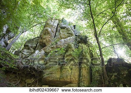 "Wild rocky landscape with sandstone cliffs, Little Switzerland or Muellerthal, German-Luxembourg Nature Park, Grand Duchy of Luxembourg, Europe, PublicGround" View Large Photo Image Stock Photo - "Wild rocky landscape with sandstone cliffs, Little Switzerland or Muellerthal, German-Luxembourg Nature Park, Grand Duchy of Luxembourg, Europe, PublicGround". Fotosearch