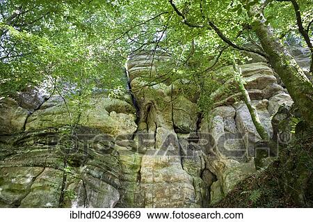 "Wild rocky landscape with sandstone cliffs, Little Switzerland or Muellerthal, German-Luxembourg Nature Park, Grand Duchy of Luxembourg, Europe, PublicGround" View Large Photo Image Stock Photo - "Wild rocky landscape with sandstone cliffs, Little Switzerland or Muellerthal, German-Luxembourg Nature Park, Grand Duchy of Luxembourg, Europe, PublicGround". Fotosearch