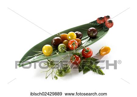 Wild tomatoes in an elongated leaf-shaped bowl View Large Photo Image Stock Photo - Wild tomatoes in an elongated leaf-shaped bowl. Fotosearch