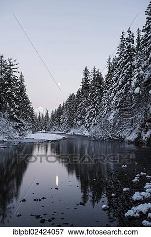 Williwaw Creek, Alaska View Large Photo Image Stock Photo - Williwaw Creek, Alaska. Fotosearch