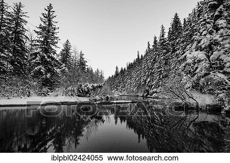 Williwaw Creek, Alaska View Large Photo Image Stock Photography - Williwaw Creek, Alaska. Fotosearch