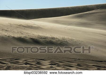 Stock Image - "Wind on sand dunes, Skeleton Coast National Park, Kunene Region, Namibia, Africa". Fotosearch