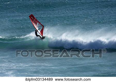 "Wind surfer, Esperance, Western Australia, Australia, Oceania" View Large Photo Image Stock Photo - "Wind surfer, Esperance, Western Australia, Australia, Oceania". Fotosearch