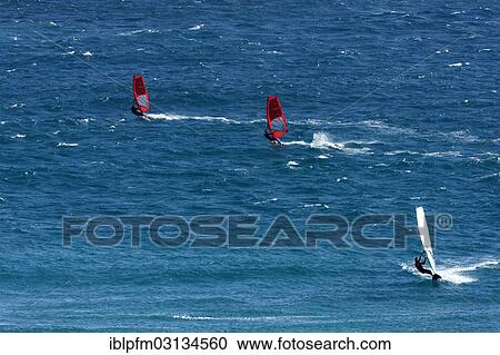 Stock Image - "Wind surfers, Esperance, Western Australia, Australia, Oceania". Fotosearch