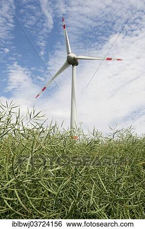 "Wind turbine, Thuringia, Germany, Europe" View Large Photo Image Stock Photograph - "Wind turbine, Thuringia, Germany, Europe". Fotosearch