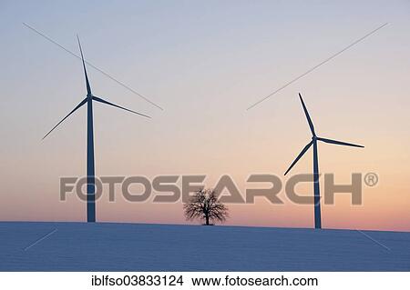 "Wind turbines and single lime tree (Tilia spp. ) at dusk in winter, Thuringia, Germany, Europe" View Large Photo Image Picture - "Wind turbines and single lime tree (Tilia spp. ) at dusk in winter, Thuringia, Germany, Europe". Fotosearch