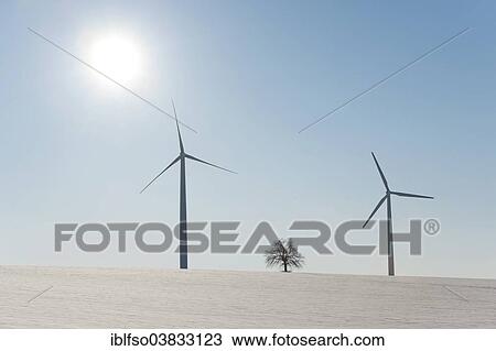 "Wind turbines and single lime tree (Tilia spp. ) with sun in winter, Thuringia, Germany, Europe" View Large Photo Image Stock Image - "Wind turbines and single lime tree (Tilia spp. ) with sun in winter, Thuringia, Germany, Europe". Fotosearch