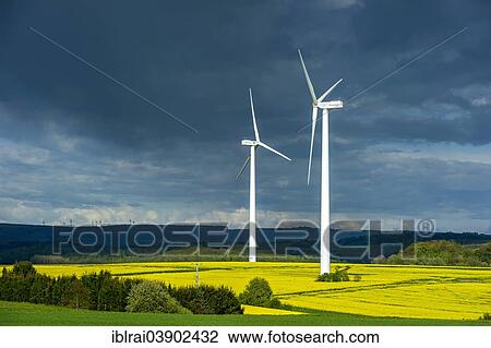 "Wind turbines in a rapeseed field in full bloom, in front of dark storm clouds, Hirzenhain, Hesse, Germany, Europe" View Large Photo Image Stock Image - "Wind turbines in a rapeseed field in full bloom, in front of dark storm clouds, Hirzenhain, Hesse, Germany, Europe". Fotosearch