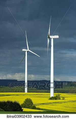 "Wind turbines in a rapeseed field in full bloom, in front of dark storm clouds, Hirzenhain, Hesse, Germany, Europe" View Large Photo Image Stock Image - "Wind turbines in a rapeseed field in full bloom, in front of dark storm clouds, Hirzenhain, Hesse, Germany, Europe". Fotosearch