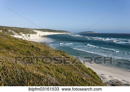 "Wind turbines on the coast, Esperance, Western Australia, Australia, Oceania" View Large Photo Image Stock Image - "Wind turbines on the coast, Esperance, Western Australia, Australia, Oceania". Fotosearch