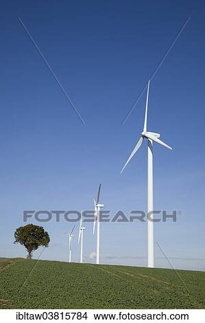 "Wind turbines, tree, field, Hergarten, Eifel, North Rhine-Westphalia, Germany, Europe" View Large Photo Image Picture - "Wind turbines, tree, field, Hergarten, Eifel, North Rhine-Westphalia, Germany, Europe". Fotosearch