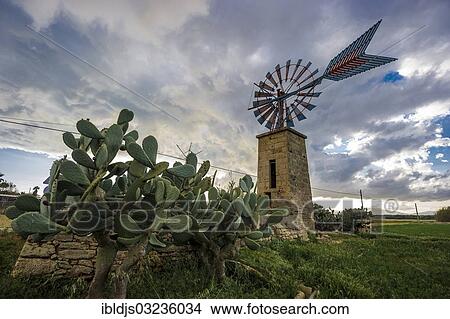 "Windmill and cacti, Casa Blanca, Palma de Mallorca, Majorca, Balearic Islands, Spain, Europe" View Large Photo Image Picture - "Windmill and cacti, Casa Blanca, Palma de Mallorca, Majorca, Balearic Islands, Spain, Europe". Fotosearch
