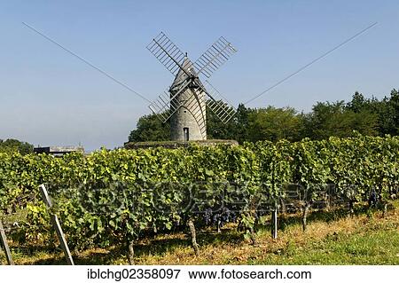 Stock Photo - "Windmill, Chateau Calon, AOC Montagne Saint Emilion, Bordeaux vineyard, Aquitaine, France, Europe". Fotosearch