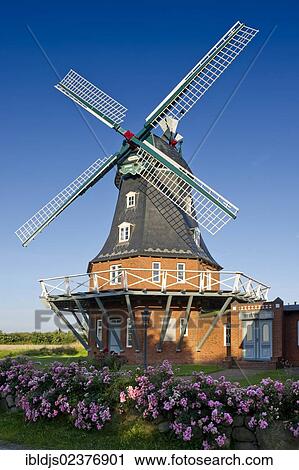 "Windmill in Borgsum, Foehr island, North Frisia, Schleswig-Holstein, Germany, Europe" View Large Photo Image Stock Image - "Windmill in Borgsum, Foehr island, North Frisia, Schleswig-Holstein, Germany, Europe". Fotosearch