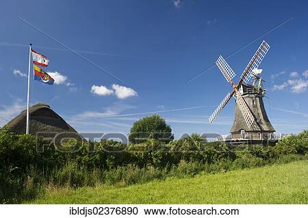 Stock Image - "Windmill in Oldsum, Foehr island, North Frisia, Schleswig-Holstein, Germany, Europe". Fotosearch