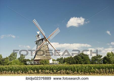 Stock Photo - "Windmill in Oldsum, Foehr island, North Frisia, Schleswig-Holstein, Germany, Europe". Fotosearch