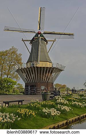"Windmill, Keukenhof, Lisse, South Holland, Netherlands" View Large Photo Image Stock Photo - "Windmill, Keukenhof, Lisse, South Holland, Netherlands". Fotosearch