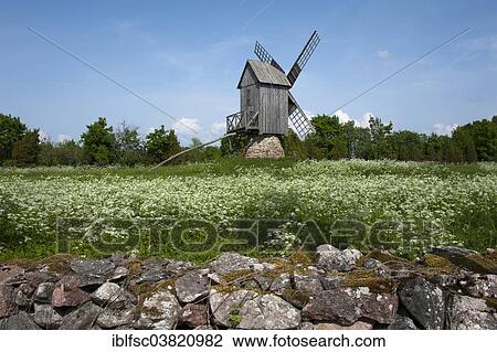 "Windmill, Koguva, Muhu, Estonia, Europe" View Large Photo Image Stock Image - "Windmill, Koguva, Muhu, Estonia, Europe". Fotosearch
