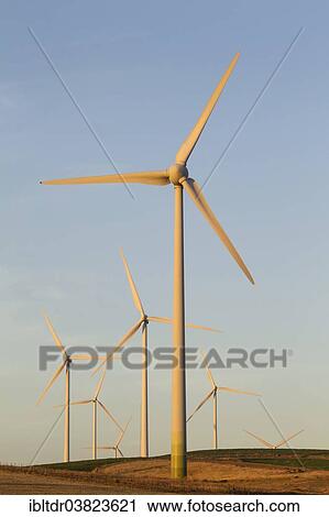 "Windmills in the evening light on a wind farm near Sanlucar de Barrameda, Cadiz province, Andalucia, Spain, Europe" View Large Photo Image Stock Image - "Windmills in the evening light on a wind farm near Sanlucar de Barrameda, Cadiz province, Andalucia, Spain, Europe". Fotosearch