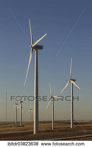 Stock Photo - "Windmills in the evening light on a wind farm near Sanlucar de Barrameda, Cadiz province, Andalucia, Spain, Europe". Fotosearch