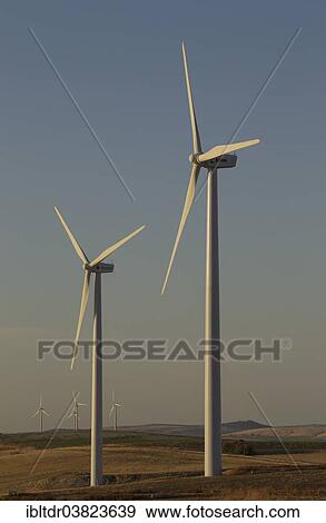 "Windmills in the evening light on a wind farm near Sanlucar de Barrameda, Cadiz province, Andalucia, Spain, Europe" View Large Photo Image Stock Photo - "Windmills in the evening light on a wind farm near Sanlucar de Barrameda, Cadiz province, Andalucia, Spain, Europe". Fotosearch