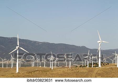 Stock Image - "Windmills on a wind farm near Tarifa, Cadiz province, Andalucia, Spain, Europe". Fotosearch