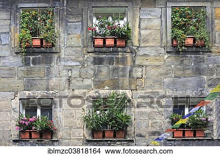 "Window facade decorated with potted plants, Bayreuth, Bavaria, Germany, Europe" View Large Photo Image Picture - "Window facade decorated with potted plants, Bayreuth, Bavaria, Germany, Europe". Fotosearch