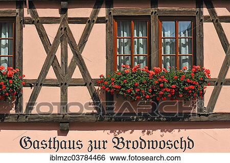 "Window with flowering Geraniums (Pelargonium zonale hybrids), with the inscription """"Gasthaus zur Brodwoschd"""", restaurant, Rothenburg ob der Tauber, Middle Franconia, Bavaria, Germany, Europe" View Large Photo Image Stock Photograph - "Window with flowering Geraniums (Pelargonium zonale hybrids), with the inscription """"Gasthaus zur Brodwoschd"""", restaurant, Rothenburg ob der Tauber, Middle Franconia, Bavaria, Germany, Europe". Fotosearch