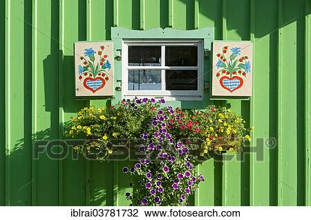 Stock Image - "Window with painted shutters and flower box on green wooden hut, Lake Starnberg, Starnberg, Upper Bavaria, Bavaria, Germany, Europe". Fotosearch
