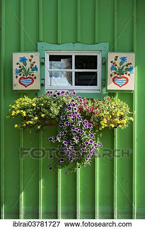 "Window with painted shutters and flower box on green wooden hut, Lake Starnberg, Starnberg, Upper Bavaria, Bavaria, Germany, Europe" View Large Photo Image Stock Photo - "Window with painted shutters and flower box on green wooden hut, Lake Starnberg, Starnberg, Upper Bavaria, Bavaria, Germany, Europe". Fotosearch