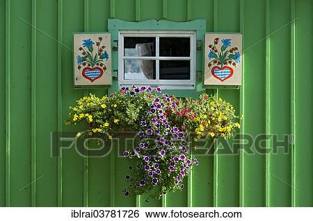 Stock Photograph - "Window with painted shutters and flower box on green wooden hut, Lake Starnberg, Starnberg, Upper Bavaria, Bavaria, Germany, Europe". Fotosearch