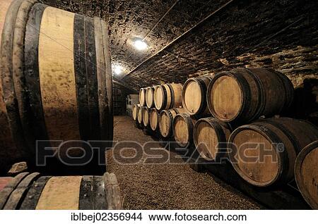 "Wine barrels in a cellar, Cote d'Or, Burgundy, France, Europe" View Large Photo Image Picture - "Wine barrels in a cellar, Cote d'Or, Burgundy, France, Europe". Fotosearch