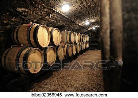 Stock Photography - "Wine barrels in a cellar, Cote d'Or, Burgundy, France, Europe". Fotosearch