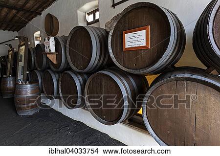 "Wine barrels in the Artesania winery, wine-growing region La Geria, Lanzarote, Canary Islands, Spain, Europe" View Large Photo Image Picture - "Wine barrels in the Artesania winery, wine-growing region La Geria, Lanzarote, Canary Islands, Spain, Europe". Fotosearch