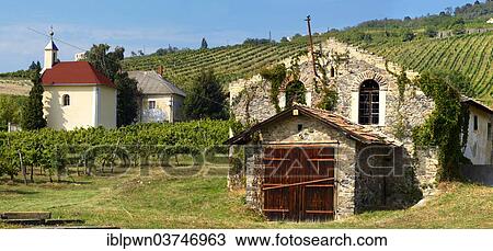 Stock Image - "Wine cellar in the Badacsony vineyards, Badacsony, Central Transdanubia, Hungary, Europe". Fotosearch