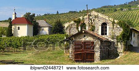 Stock Image - "Wine cellar in the Badascony vineyards, Balaton, Hungary, Europe". Fotosearch