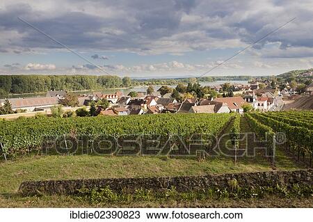 "Wine town of Nierstein am Rhein, Rhineland-Palatinate, Germany, Europe" View Large Photo Image Stock Image - "Wine town of Nierstein am Rhein, Rhineland-Palatinate, Germany, Europe". Fotosearch