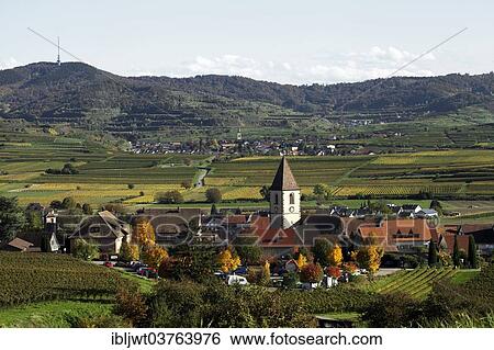 "Wine village and cultural landscape in autumn, Burkheim, Vogtsburg im Kaiserstuhl, Baden-Wurttemberg, Germany, Europe" View Large Photo Image Stock Photograph - "Wine village and cultural landscape in autumn, Burkheim, Vogtsburg im Kaiserstuhl, Baden-Wurttemberg, Germany, Europe". Fotosearch