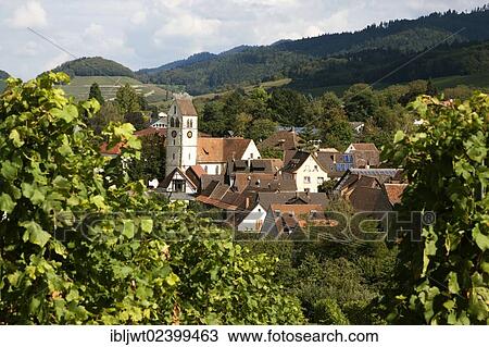 "Wine village of Britzingen in Markgraeflerland region with the Protestant church of St. Johannes, Black Forest, Baden-Wuerttemberg, Germany, Europe, PublicGround, Europe" View Large Photo Image Stock Image - "Wine village of Britzingen in Markgraeflerland region with the Protestant church of St. Johannes, Black Forest, Baden-Wuerttemberg, Germany, Europe, PublicGround, Europe". Fotosearch