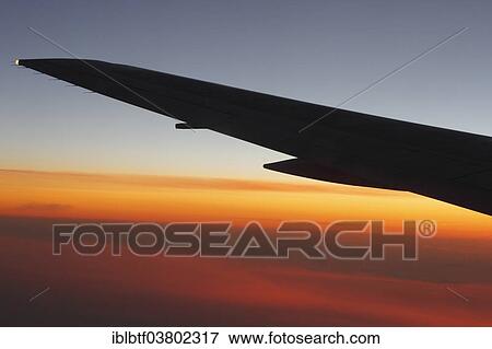 Wing of an airplane at dawn View Large Photo Image Stock Photo - Wing of an airplane at dawn. Fotosearch