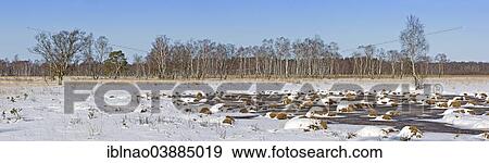 Stock Photo - "Winter in Duvenstedter Brook Nature Reserve, Hamburg, Germany, Europe". Fotosearch