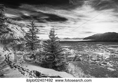 "Winter landscape along Turnagain Arm, Alaska" View Large Photo Image Stock Image - "Winter landscape along Turnagain Arm, Alaska". Fotosearch