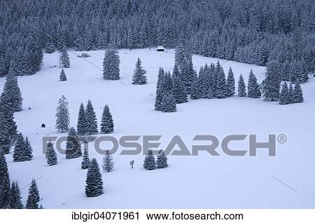 "Winter landscape, Black Forest, Baden-Wurttemberg, Germany, Europe" View Large Photo Image Stock Image - "Winter landscape, Black Forest, Baden-Wurttemberg, Germany, Europe". Fotosearch