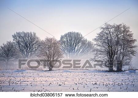 "Winter landscape, Braak, Schleswig-Holstein, Germany, Europe" View Large Photo Image Stock Photo - "Winter landscape, Braak, Schleswig-Holstein, Germany, Europe". Fotosearch