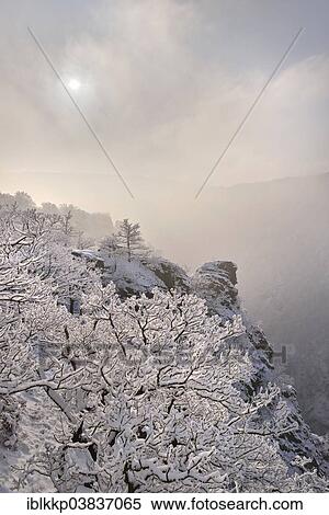 "Winter landscape in the misty Bode Gorge, snow-covered rocks and trees, Rosstrappe cliff, Thale, Saxony-Anhalt, Germany, Europe" View Large Photo Image Stock Photography - "Winter landscape in the misty Bode Gorge, snow-covered rocks and trees, Rosstrappe cliff, Thale, Saxony-Anhalt, Germany, Europe". Fotosearch